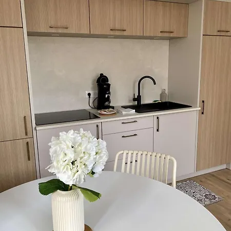 Havre De Sérénité Coeur De Appartement